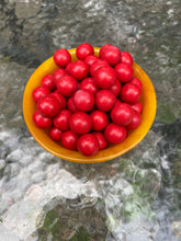 Load image into Gallery viewer, Tibetan Amber Traveller's Cup/ Offering Bowl - Small