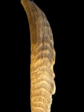Load image into Gallery viewer, Rams Horn with Yak Hair Traditional Duster