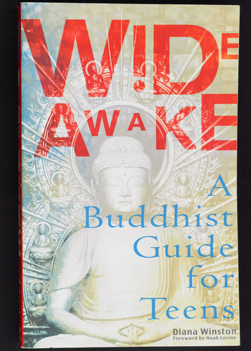 Wide Awake. A Buddhist Guide for Teens, Diana Winston