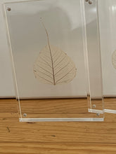 Load image into Gallery viewer, Buddha/Bodhi Leaf